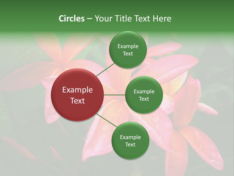 Plumeria Burst PowerPoint Template