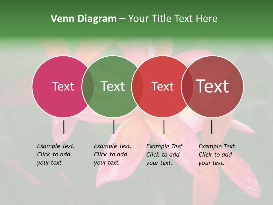 Plumeria Burst PowerPoint Template