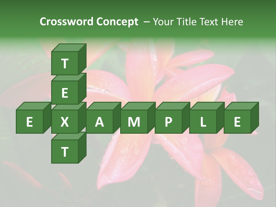 Plumeria Burst PowerPoint Template