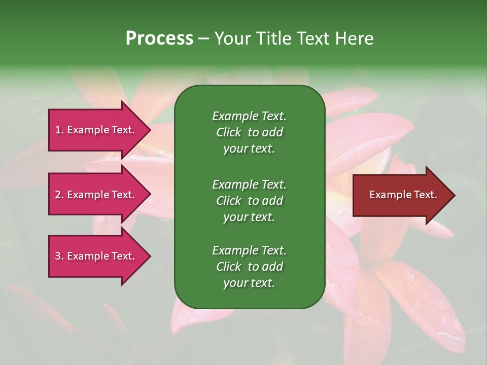 Plumeria Burst PowerPoint Template