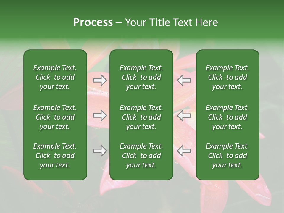Plumeria Burst PowerPoint Template