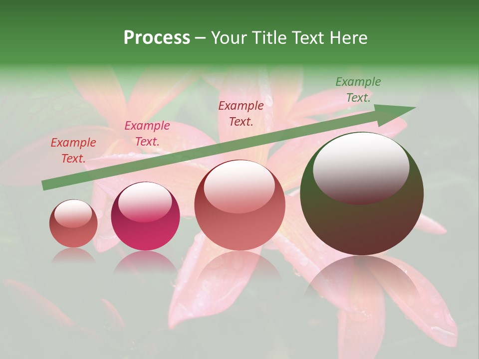 Plumeria Burst PowerPoint Template