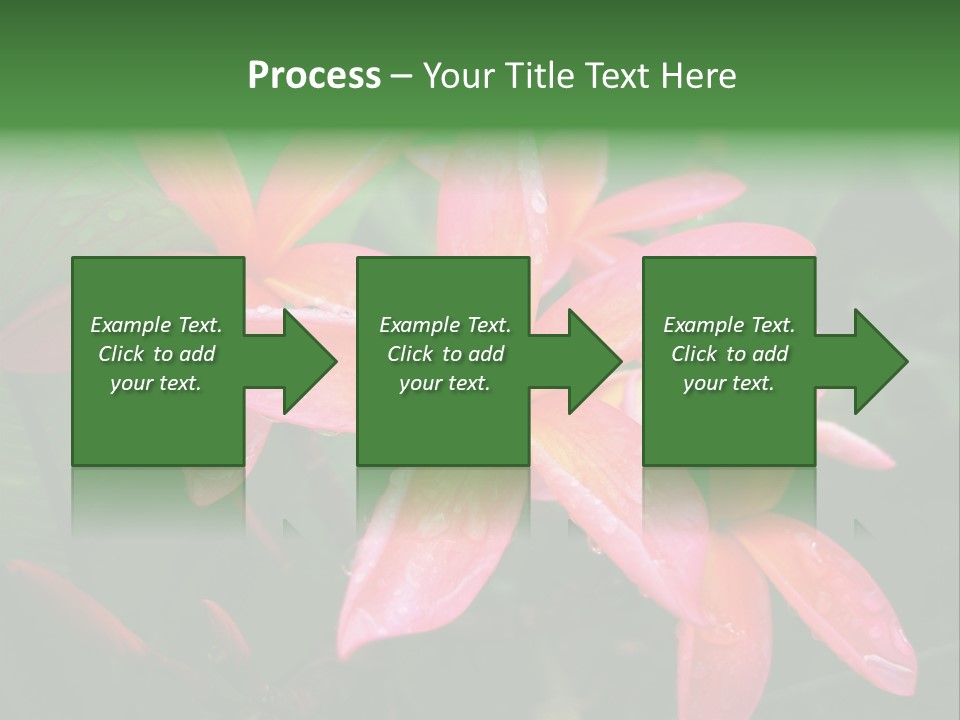 Plumeria Burst PowerPoint Template