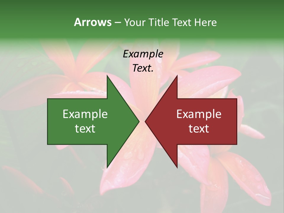 Plumeria Burst PowerPoint Template