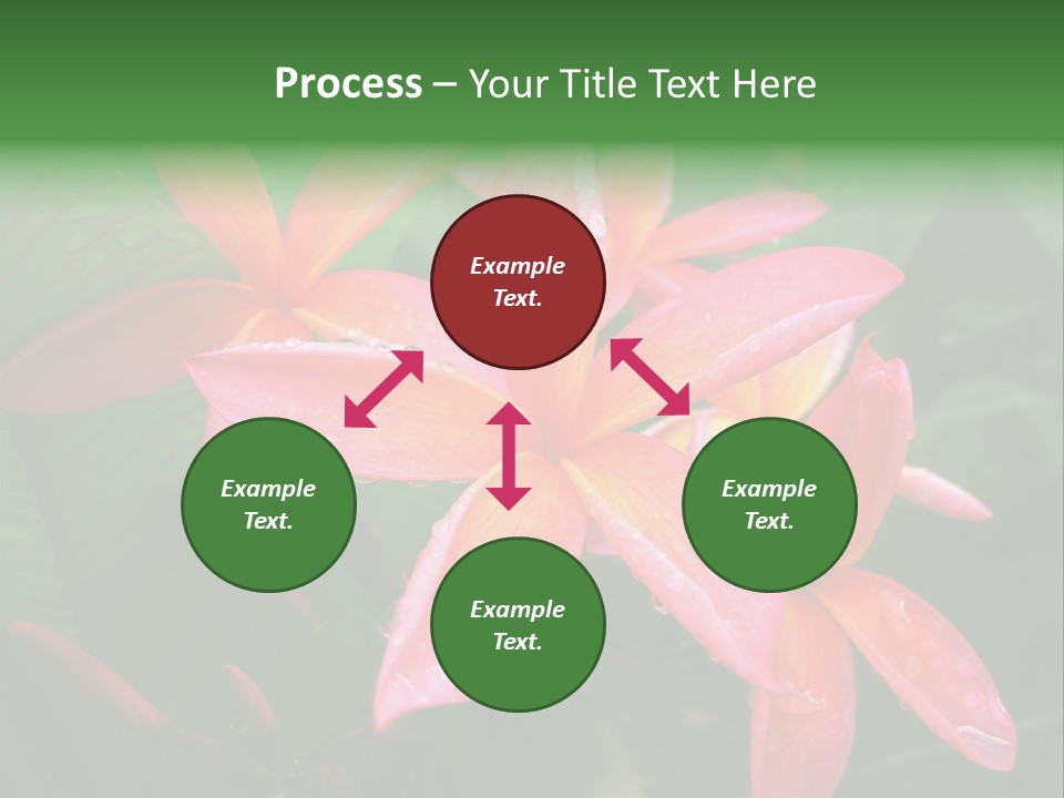 Plumeria Burst PowerPoint Template