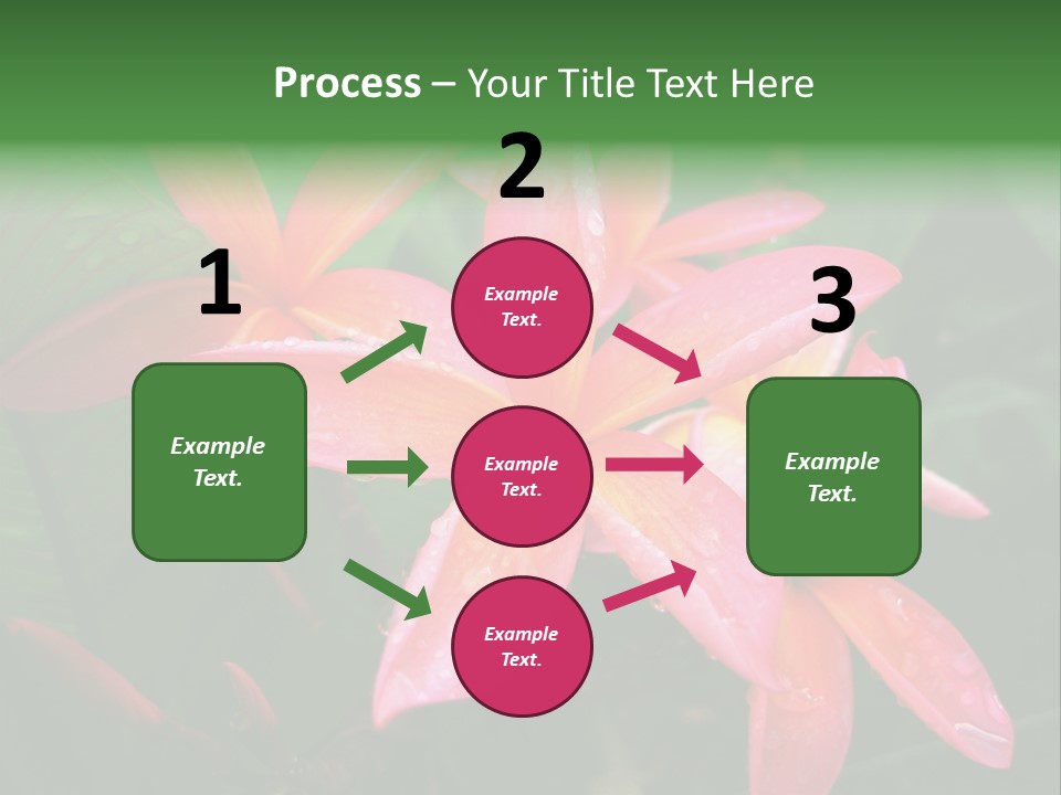 Plumeria Burst PowerPoint Template