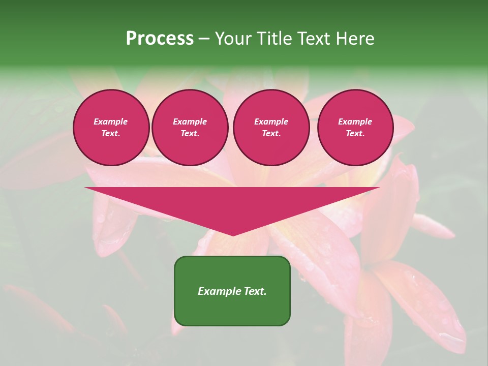 Plumeria Burst PowerPoint Template