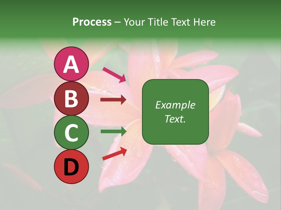 Plumeria Burst PowerPoint Template