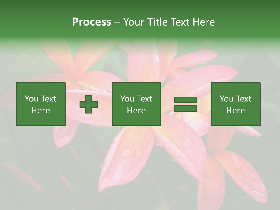 Plumeria Burst PowerPoint Template