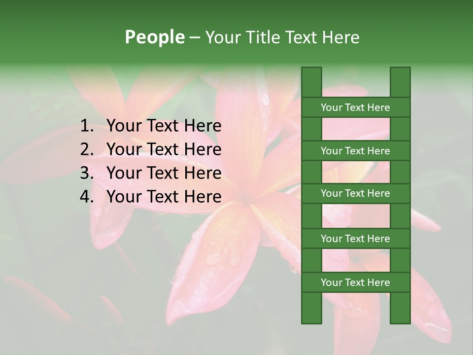 Plumeria Burst PowerPoint Template