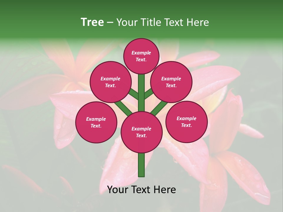 Plumeria Burst PowerPoint Template