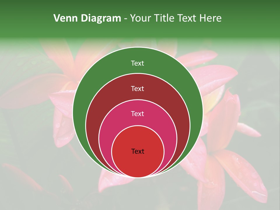 Plumeria Burst PowerPoint Template