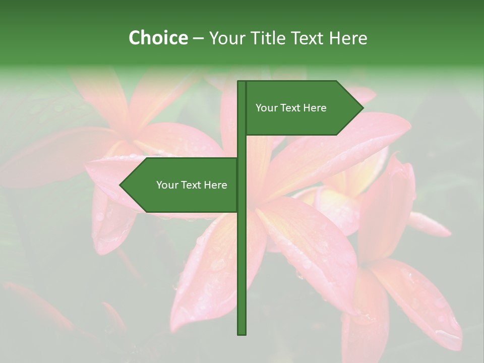 Plumeria Burst PowerPoint Template