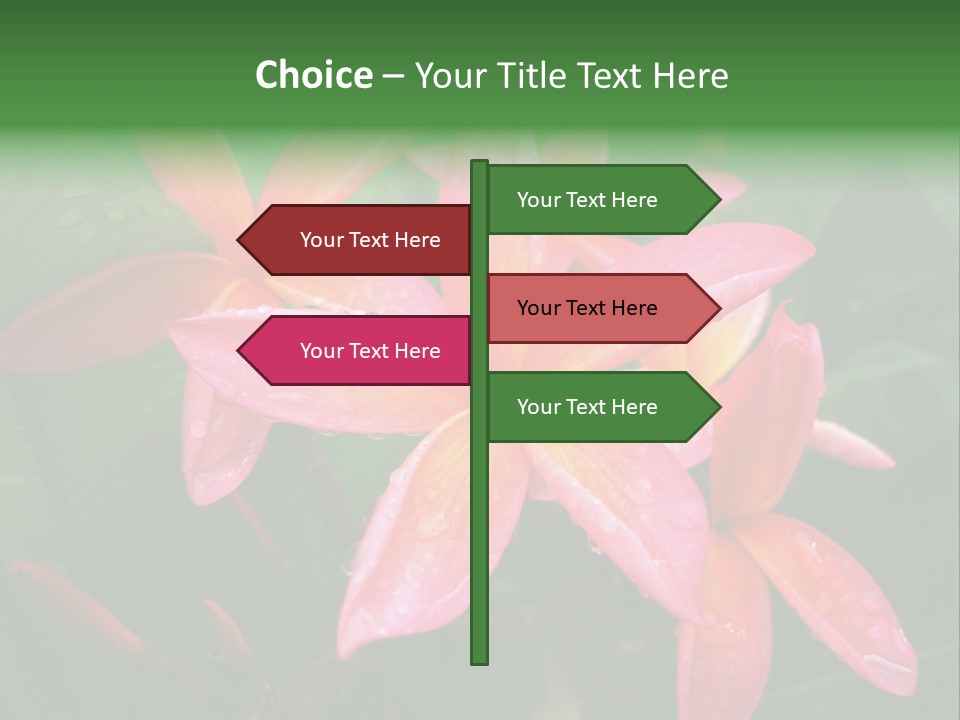 Plumeria Burst PowerPoint Template