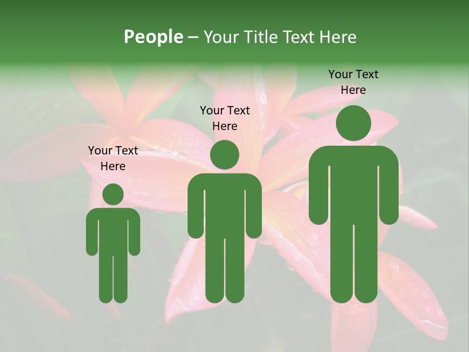 Plumeria Burst PowerPoint Template