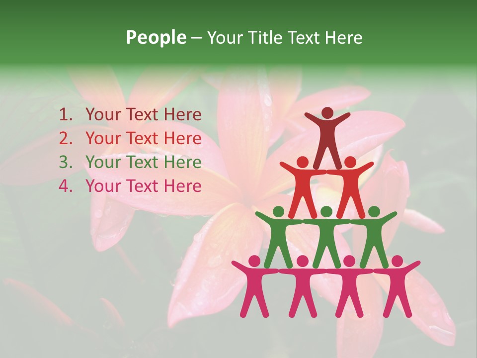 Plumeria Burst PowerPoint Template