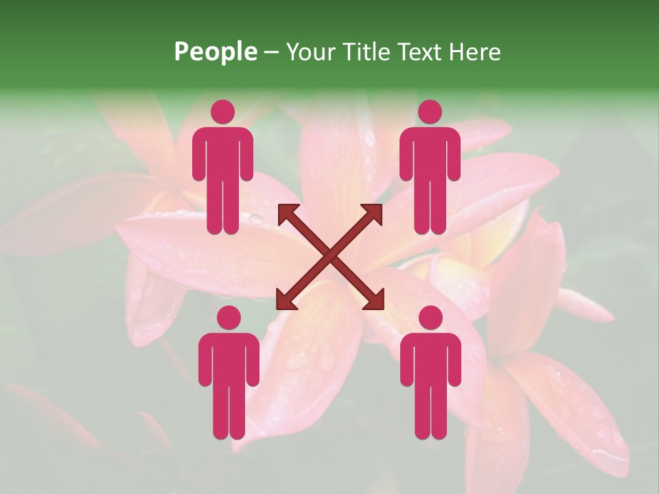 Plumeria Burst PowerPoint Template