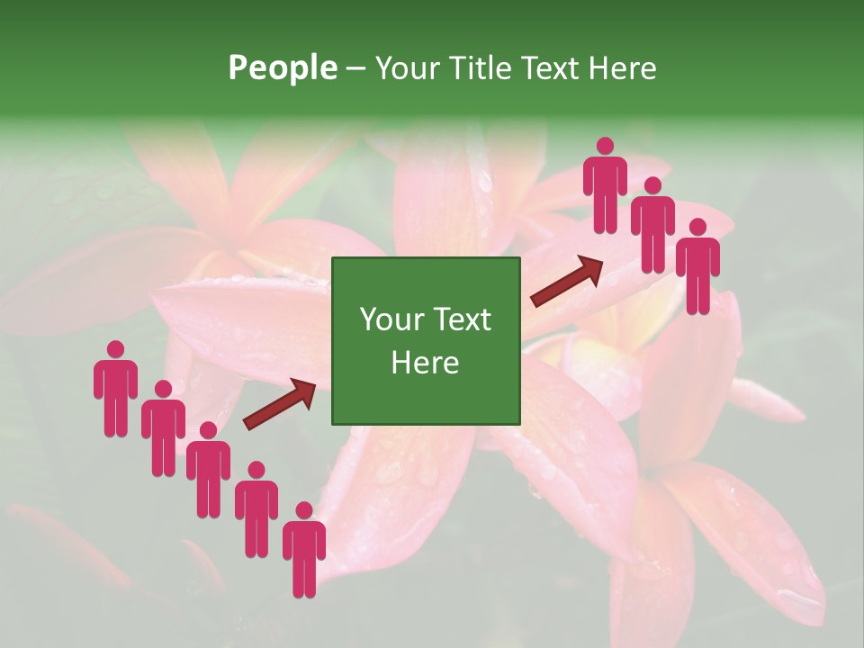 Plumeria Burst PowerPoint Template