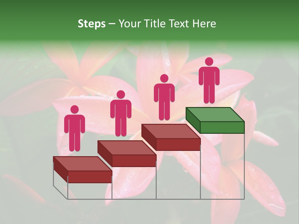 Plumeria Burst PowerPoint Template