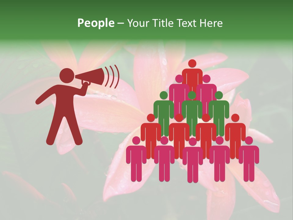 Plumeria Burst PowerPoint Template