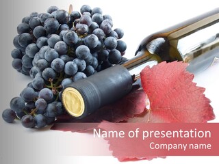 Blue Wine With Bottle And Grapes PowerPoint Template