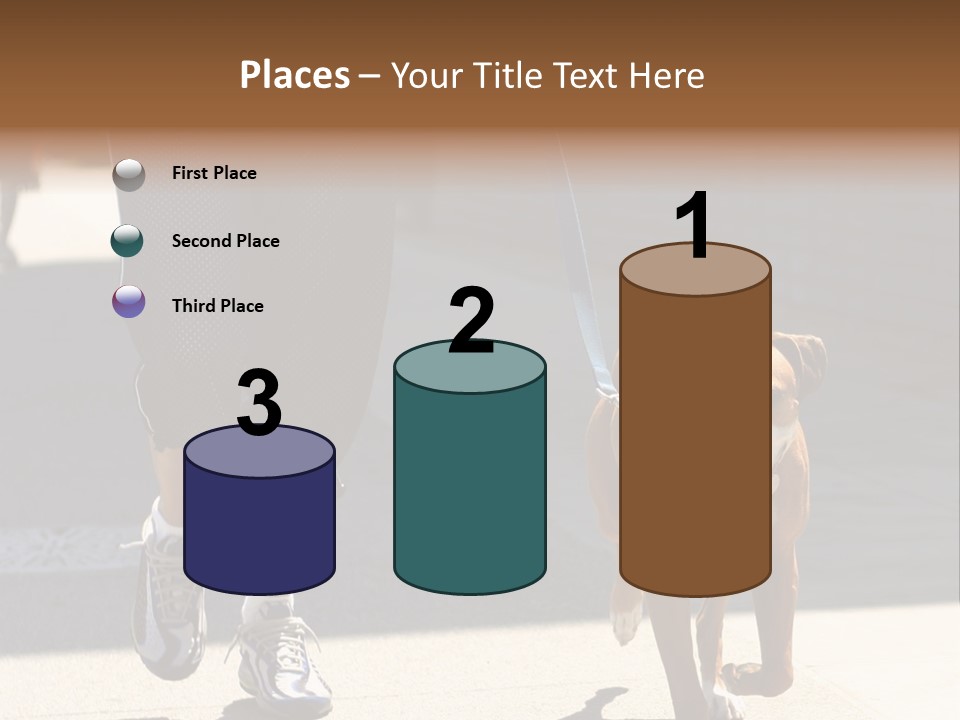 A Person Walking A Brown And White Dog On A Leash PowerPoint Template