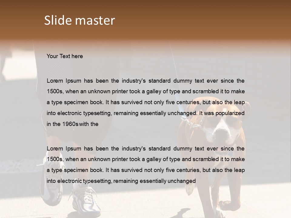 A Person Walking A Brown And White Dog On A Leash PowerPoint Template