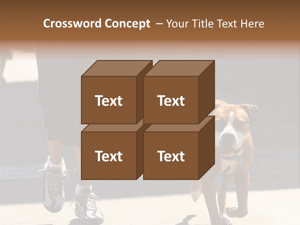 A Person Walking A Brown And White Dog On A Leash PowerPoint Template