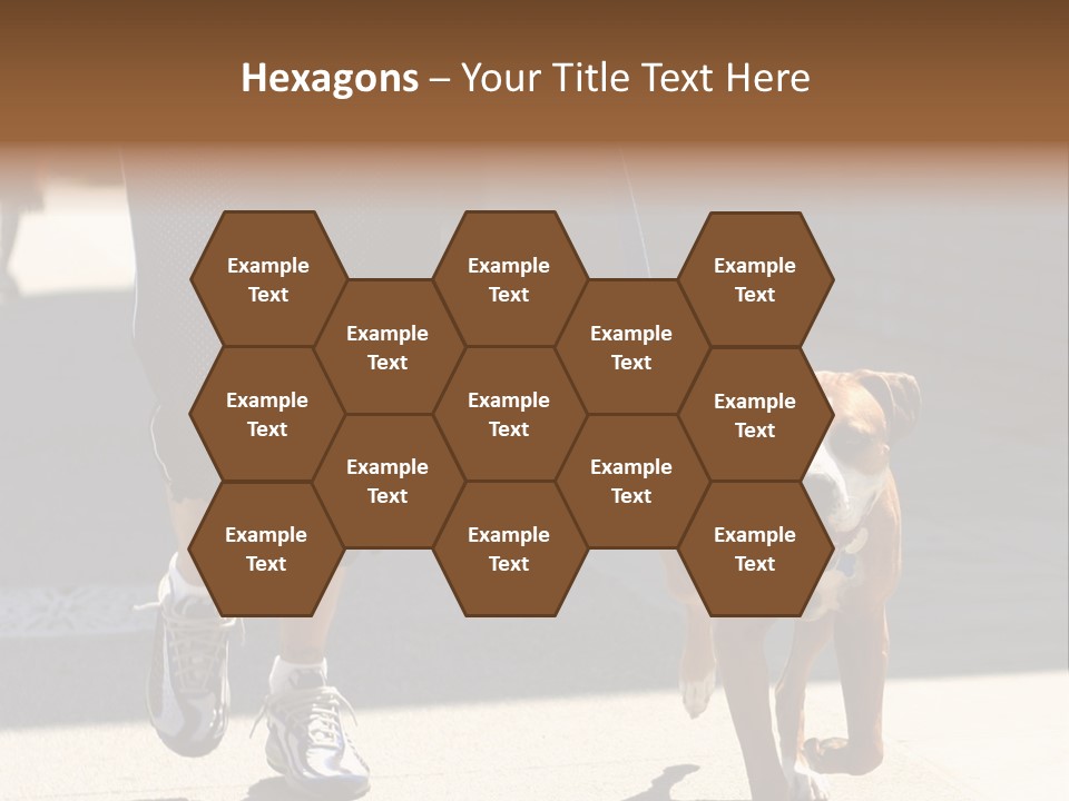 A Person Walking A Brown And White Dog On A Leash PowerPoint Template