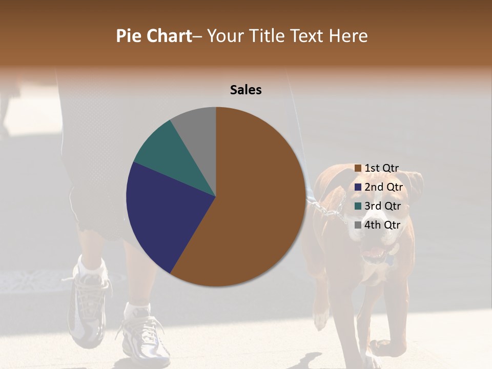 A Person Walking A Brown And White Dog On A Leash PowerPoint Template