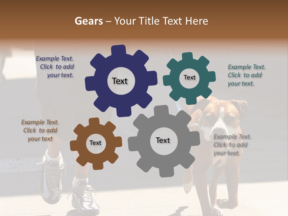 A Person Walking A Brown And White Dog On A Leash PowerPoint Template