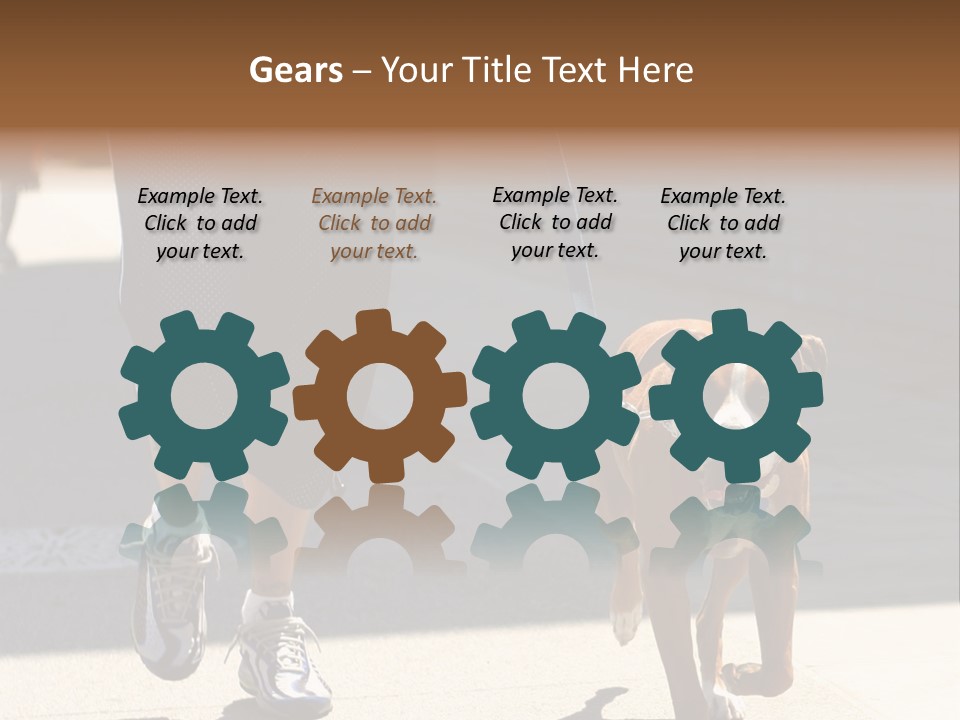 A Person Walking A Brown And White Dog On A Leash PowerPoint Template