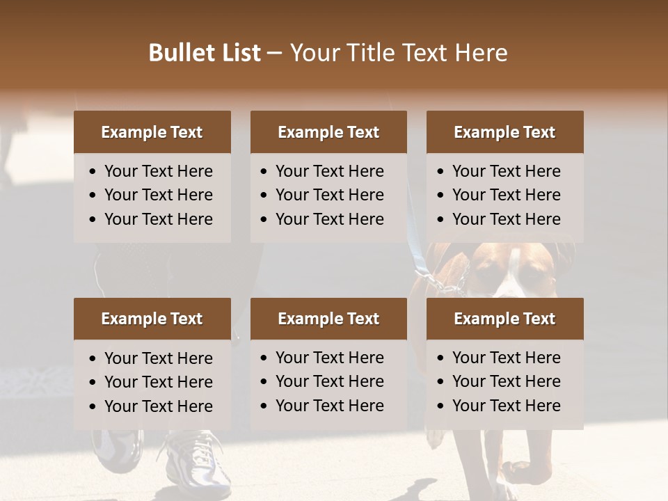 A Person Walking A Brown And White Dog On A Leash PowerPoint Template