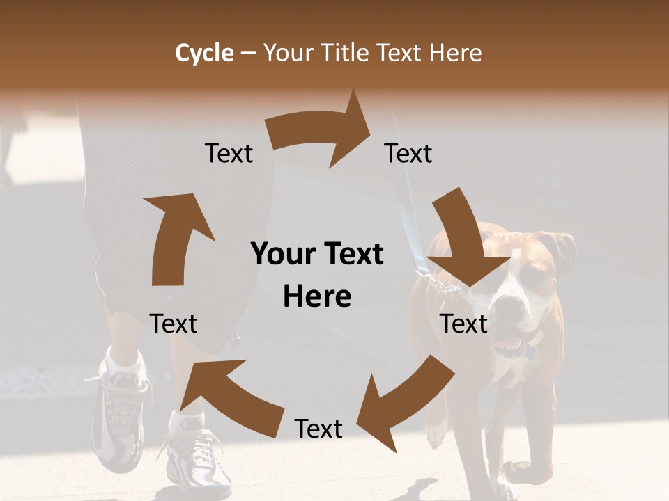 A Person Walking A Brown And White Dog On A Leash PowerPoint Template