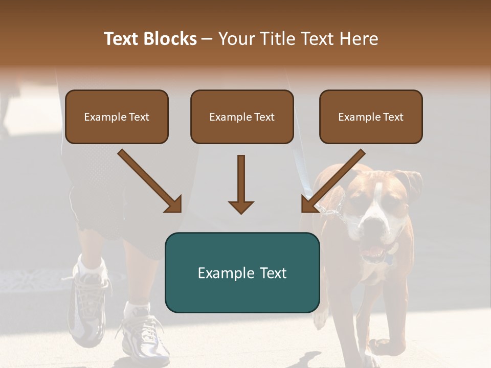 A Person Walking A Brown And White Dog On A Leash PowerPoint Template