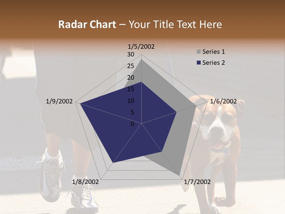 A Person Walking A Brown And White Dog On A Leash PowerPoint Template