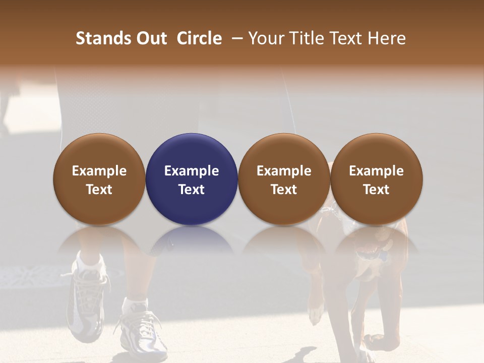 A Person Walking A Brown And White Dog On A Leash PowerPoint Template