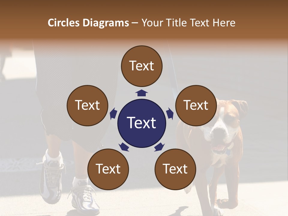 A Person Walking A Brown And White Dog On A Leash PowerPoint Template