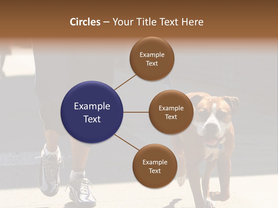 A Person Walking A Brown And White Dog On A Leash PowerPoint Template