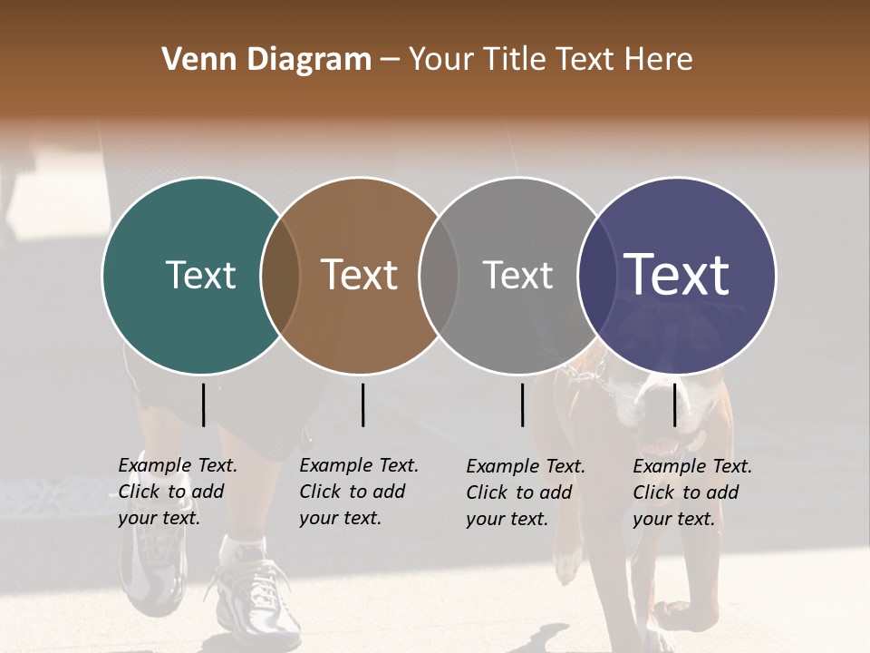 A Person Walking A Brown And White Dog On A Leash PowerPoint Template