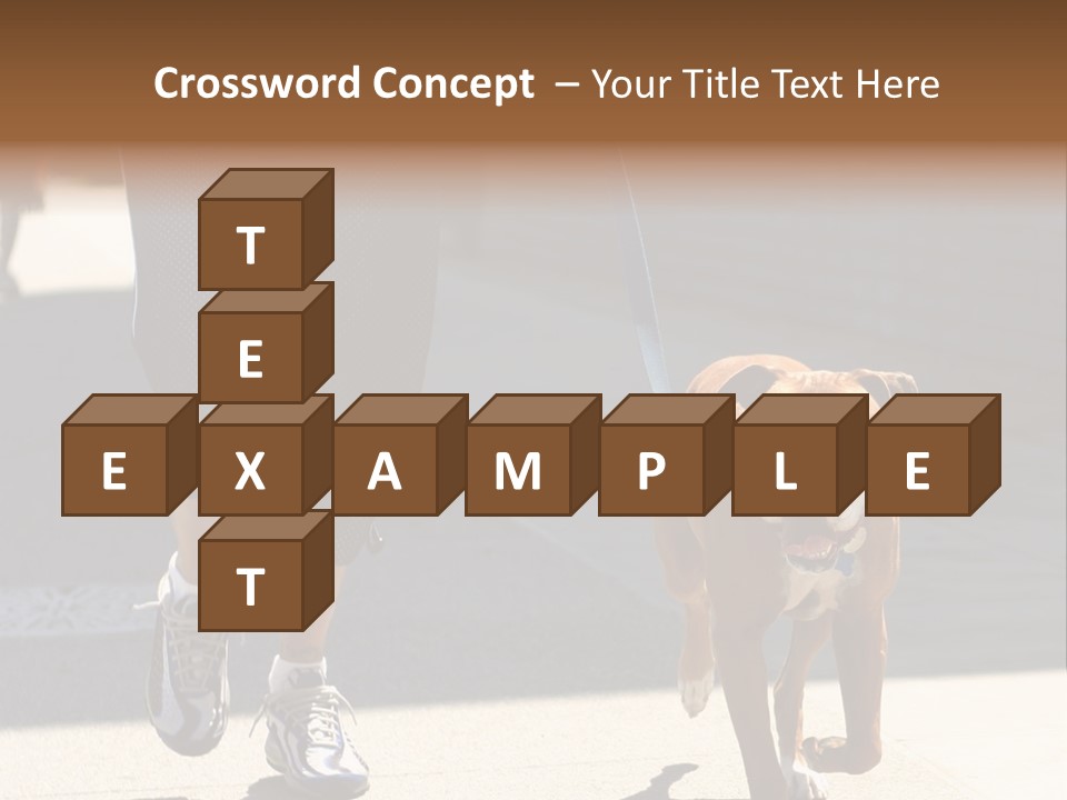 A Person Walking A Brown And White Dog On A Leash PowerPoint Template