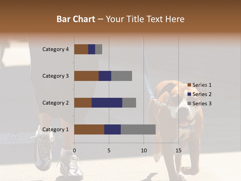 A Person Walking A Brown And White Dog On A Leash PowerPoint Template