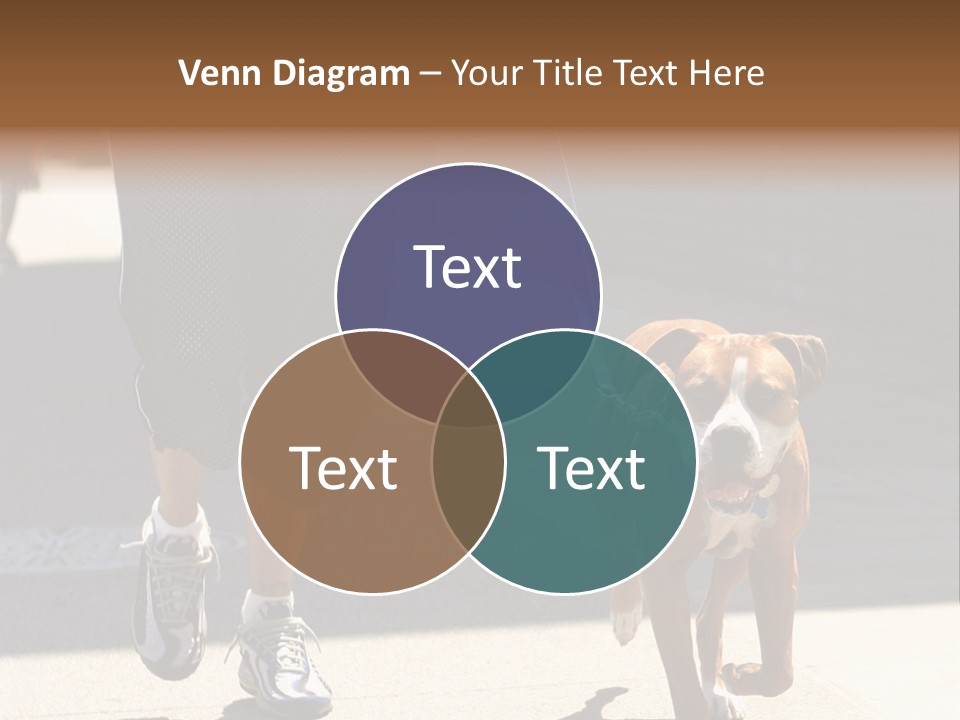 A Person Walking A Brown And White Dog On A Leash PowerPoint Template