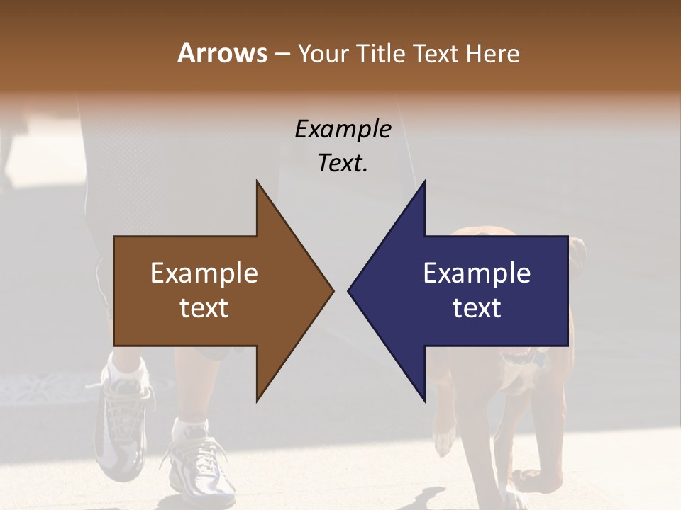 A Person Walking A Brown And White Dog On A Leash PowerPoint Template