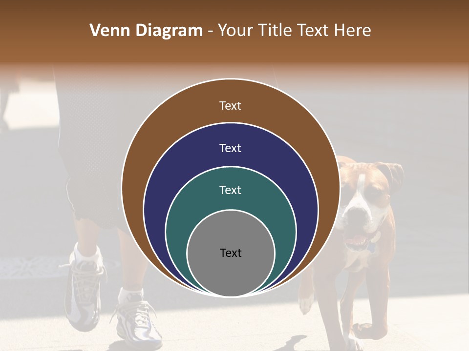 A Person Walking A Brown And White Dog On A Leash PowerPoint Template