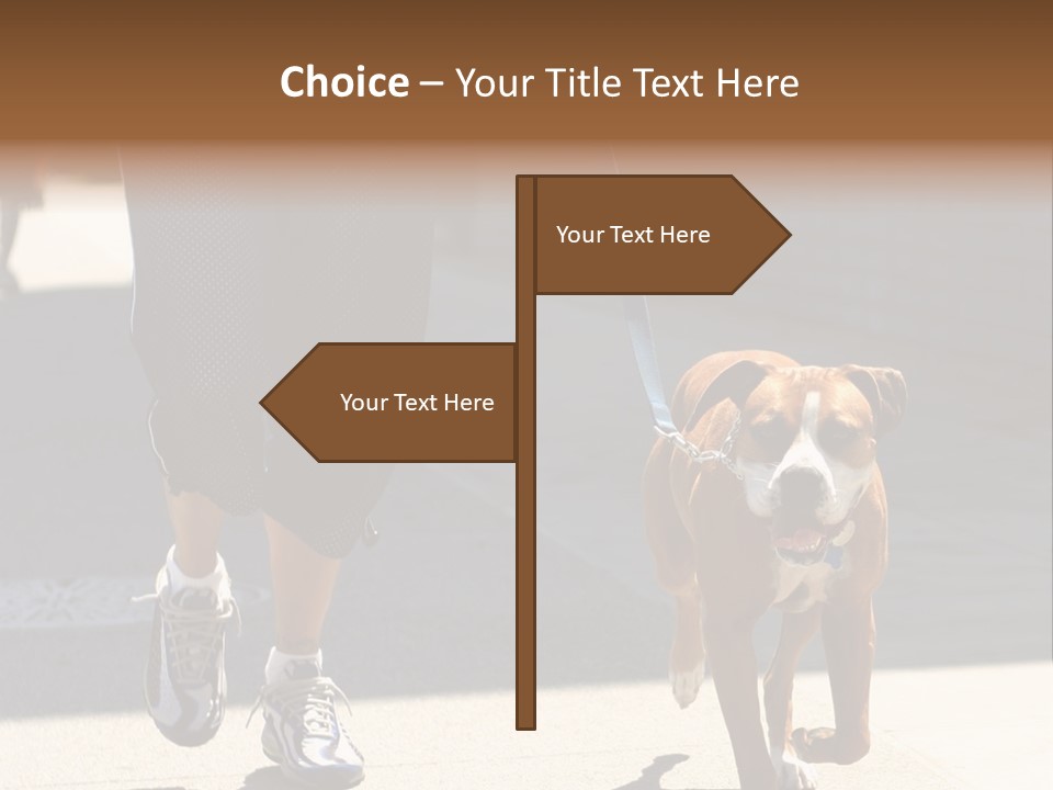 A Person Walking A Brown And White Dog On A Leash PowerPoint Template