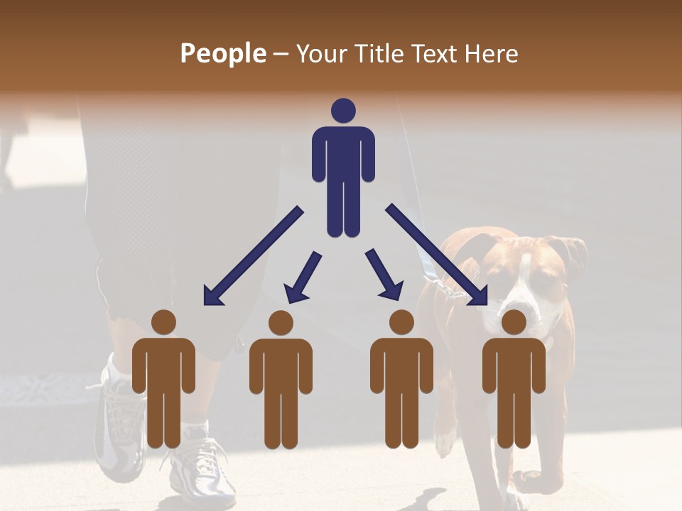 A Person Walking A Brown And White Dog On A Leash PowerPoint Template