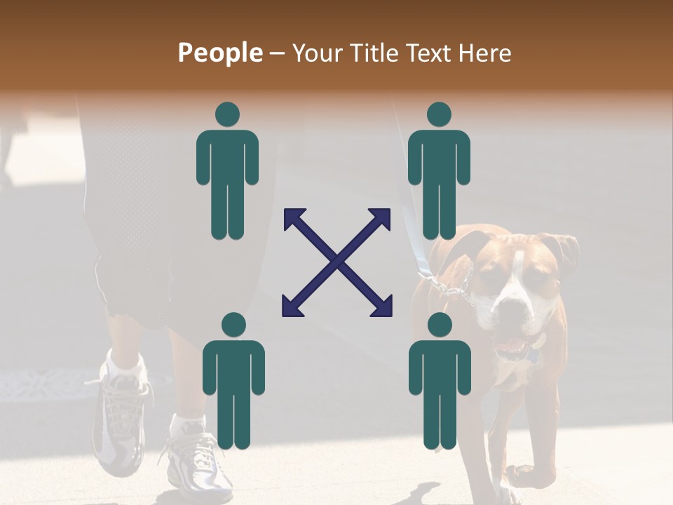A Person Walking A Brown And White Dog On A Leash PowerPoint Template