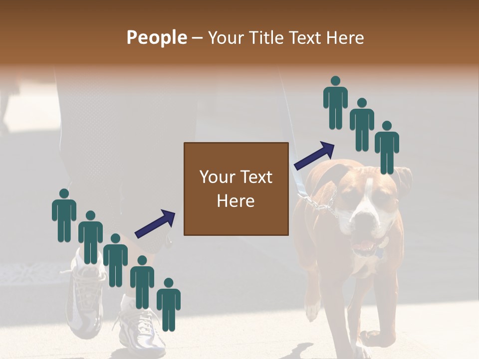 A Person Walking A Brown And White Dog On A Leash PowerPoint Template