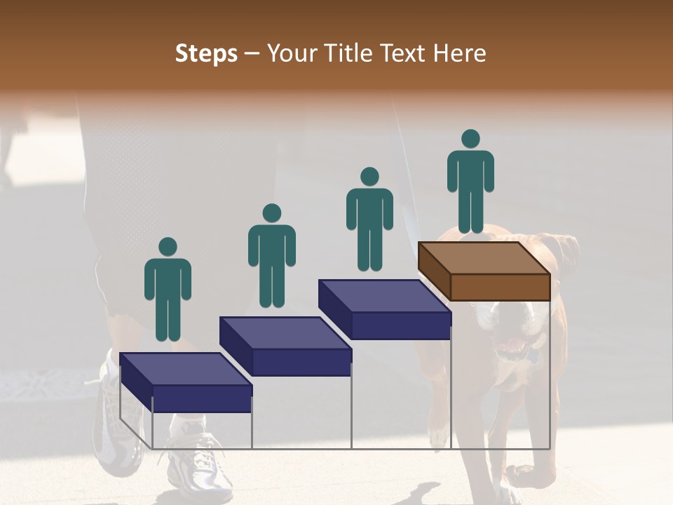 A Person Walking A Brown And White Dog On A Leash PowerPoint Template